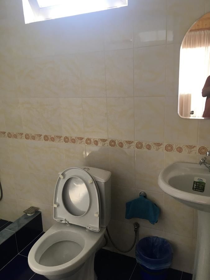 Гостевой дом Davido Hotel Гагра
