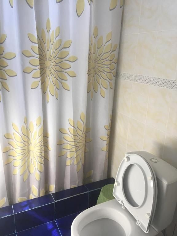 Гостевой дом Davido Hotel Гагра