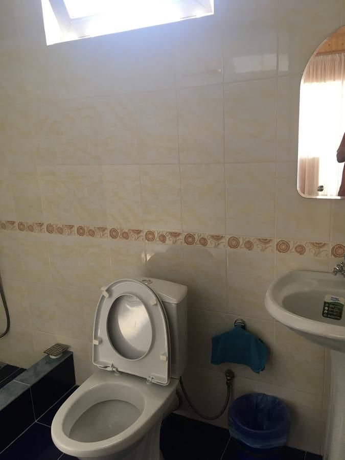 Гостевой дом Davido Hotel Гагра