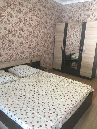 Гостевой дом Davido Hotel Гагра Большой двухместный номер с 1 кроватью-6