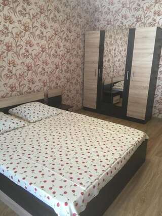 Гостевой дом Davido Hotel Гагра Большой двухместный номер с 1 кроватью-28