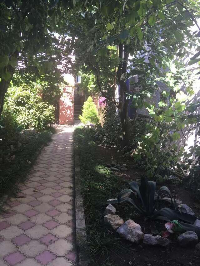 Гостевой дом Davido Hotel Гагра-4